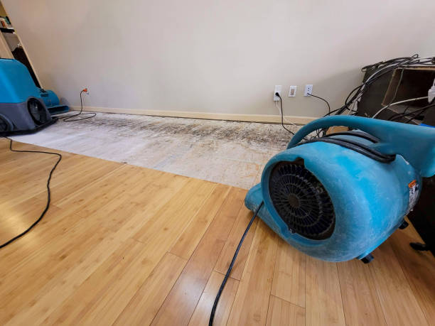Professional Sewage Cleanup technician working in Charleroi, PA